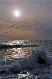 surfen / ***