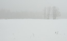 Disappearing reality / ***