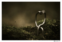 Lovers / ***