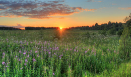 Sonnenuntergang / ***