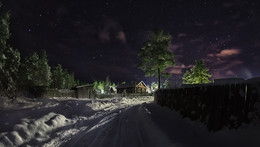 Night walk / ***
