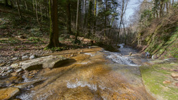 Walk along the river / ***