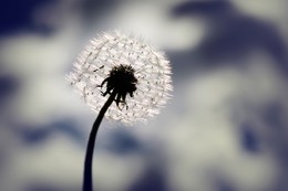 Per aspera ad astra / Per aspera ad astra