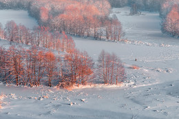 Lone fisherman / ***