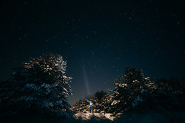 Into the sky / ***