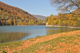Goldener Herbst / ***