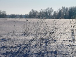 Schatten am Mittag ... / ***