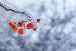 Winter etude / ***