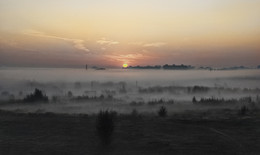 Nebel / ***
