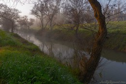 Morgennebel / ***