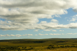Expanses of the North / ***