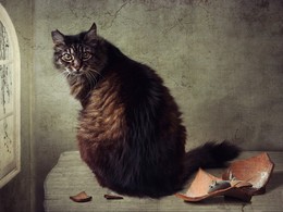 Verbrechen und Strafe / ***