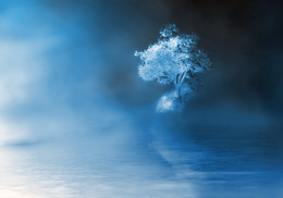 Lonely ... / ***