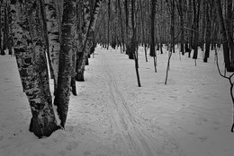 Track / ***