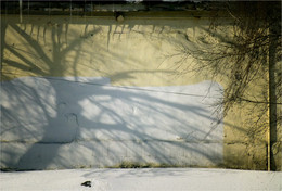 Frühling Baum / [img]http://i10.pixs.ru/storage/9/5/6/Neobiknove_6749311_20770956.jpg[/img]
[img]http://i11.pixs.ru/storage/0/6/3/ElochkiDOj_4715921_20771063.jpg[/img]
