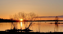 Über die Fischerei ... / ***