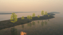 Mirror World / ***