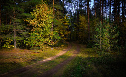 Autumn / ***