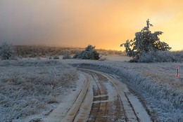 Frost and sun – what a wonderful day / ***