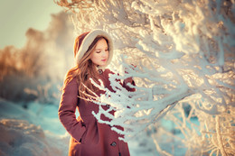 Frost and sun – what a wonderful day / ***