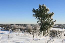 Ein schöner Tag dank Frost und Sonne / ***