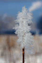 Frost and sun – what a wonderful day / ---