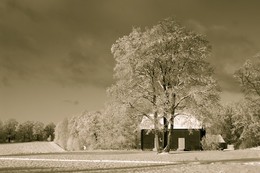 Frost and sun – what a wonderful day / ***