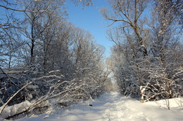 Ein schöner Tag dank Frost und Sonne / ***