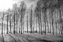 Frost and sun – what a wonderful day / ***