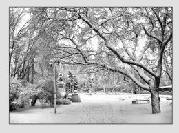 Frost and sun – what a wonderful day / ***