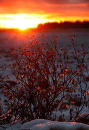Frost and sun – what a wonderful day / ***