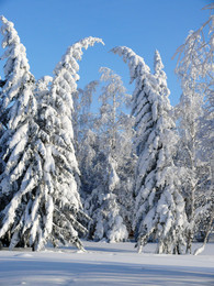 Ein schöner Tag dank Frost und Sonne / ***