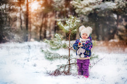 Zimushka - Winter / ***