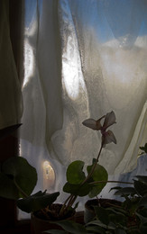 Frost and sun – what a wonderful day / ---