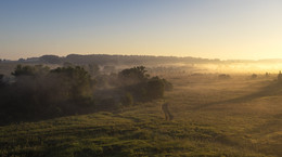 Dawn, Fog / ***
