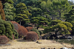 a park / ***