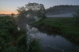 Foggy morning / ***