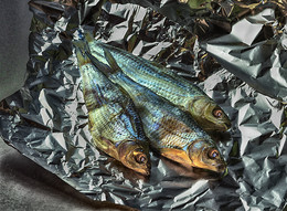 Fisch / ***