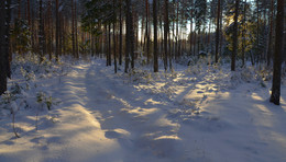Nach Schneefall / ***