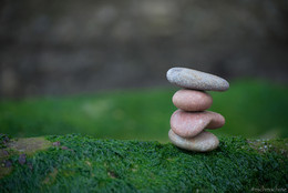 Harmony / ***