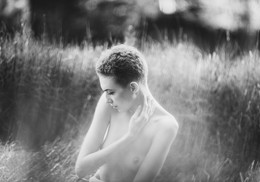 Summer Dream / ***