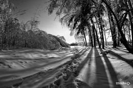Just winter / ***