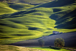 Farmhouse / Tuscany / Italia