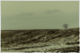Einsamkeit / ***