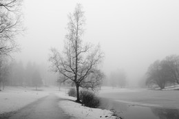 Fog / ***