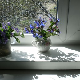 Springtime / ***