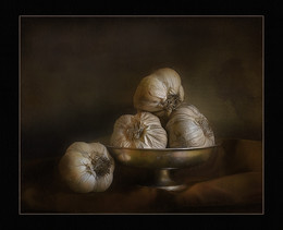 garlic / ***