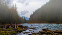 morning in the Carpathians / ***