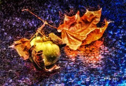 Autumn. / ***