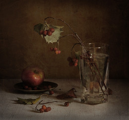 viburnum / ***